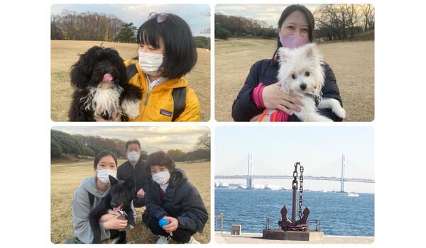 犬のしつけ教室・出張レッスン・無駄吠えの矯正レッスンを行うドッグスクール ヴィッセ今日のわん子達～12月11日 