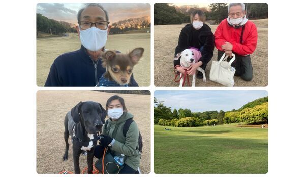 犬のしつけ教室・出張レッスン・無駄吠えの矯正レッスンを行うドッグスクール ヴィッセ今日のわん子達～12月17日 