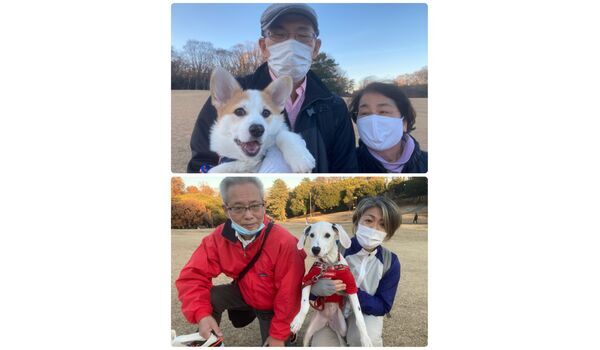 犬のしつけ教室・出張レッスン・無駄吠えの矯正レッスンを行うドッグスクール ヴィッセ今日のわん子達～12月23日 