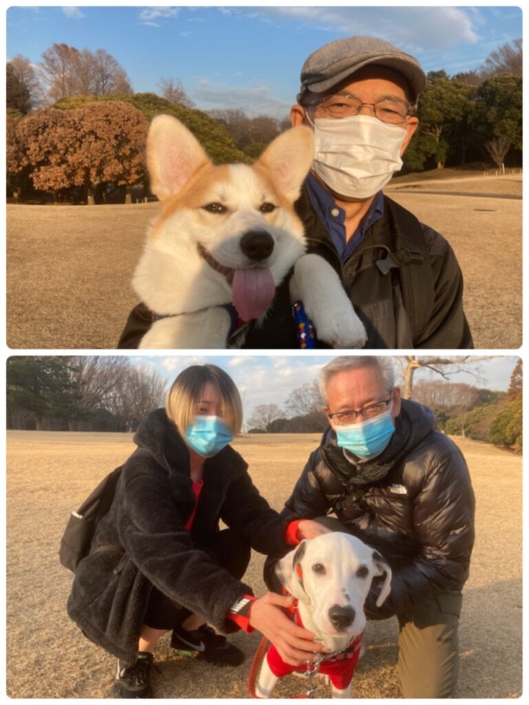横浜市の犬のしつけ教室/今日のわん子達