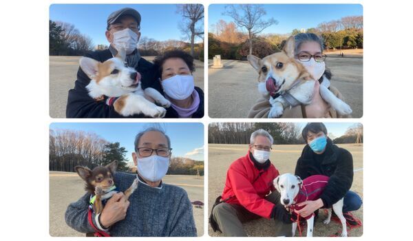 犬のしつけ教室・出張レッスン・無駄吠えの矯正レッスンを行うドッグスクール ヴィッセ今日のわん子達～2月4日 