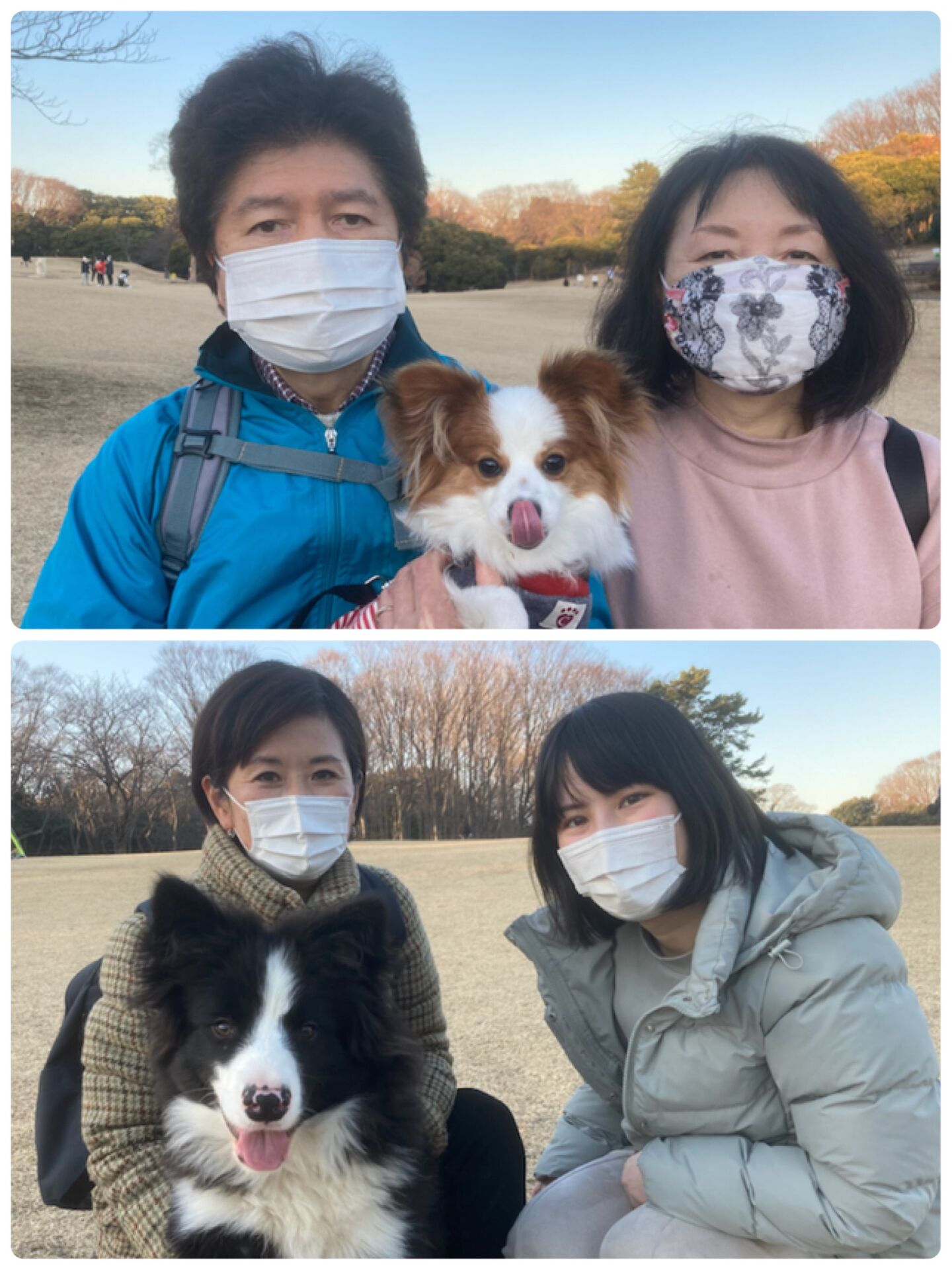 横浜市の犬のしつけ教室/今日のわん子達