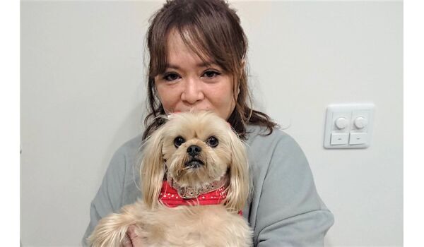 犬のしつけ教室・出張レッスン・無駄吠えの矯正レッスンを行うドッグスクール ヴィッセ～長野県松本市
