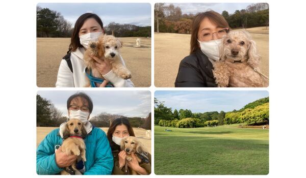犬のしつけ教室・出張レッスン・無駄吠えの矯正レッスンを行うドッグスクール ヴィッセ今日のわん子達～2月10日 