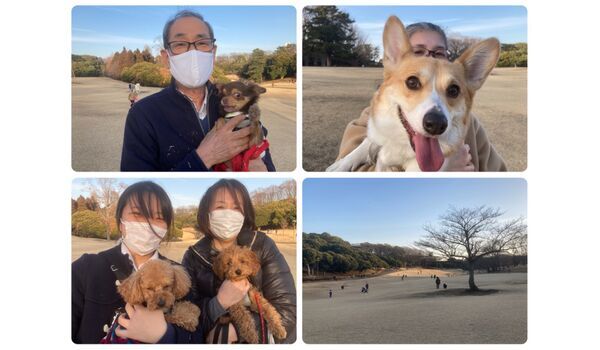 犬のしつけ教室・出張レッスン・無駄吠えの矯正レッスンを行うドッグスクール ヴィッセ今日のわん子達～2月11日 
