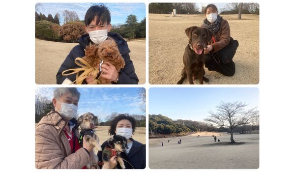犬のしつけ教室・出張レッスン・無駄吠えの矯正レッスンを行うドッグスクール ヴィッセ今日のわん子達～2月14日 