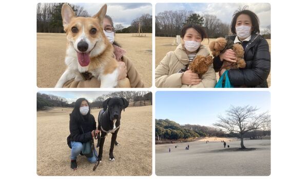 犬のしつけ教室・出張レッスン・無駄吠えの矯正レッスンを行うドッグスクール ヴィッセ今日のわん子達～2月18日 