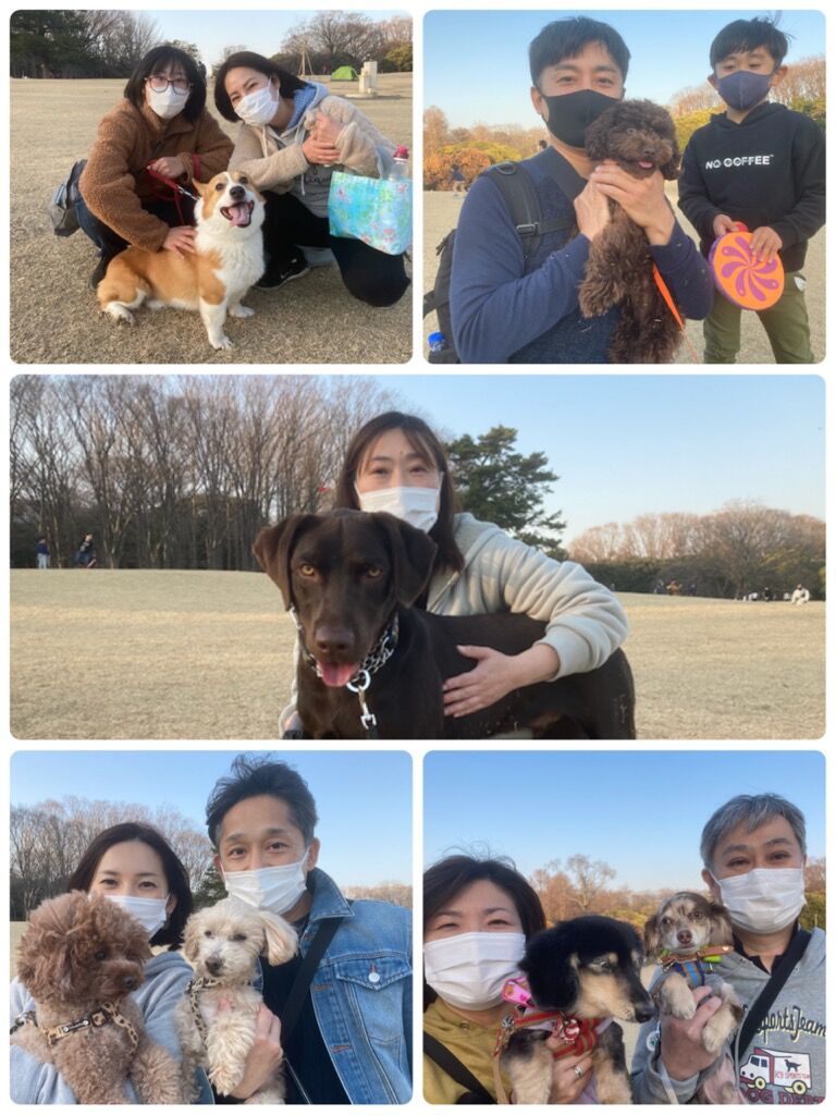横浜市の犬のしつけ教室/今日のわん子達