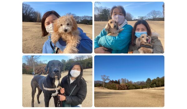 犬のしつけ教室・出張レッスン・無駄吠えの矯正レッスンを行うドッグスクール ヴィッセ今日のわん子達～2月24日 