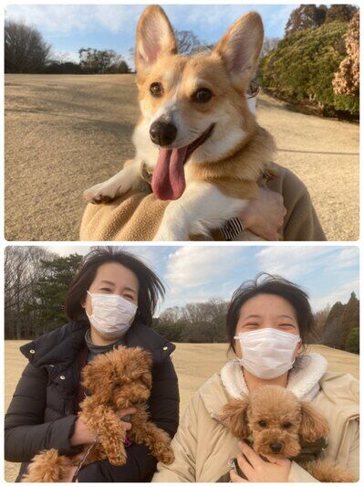 横浜市の犬のしつけ教室/今日のわん子達