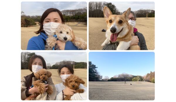犬のしつけ教室・出張レッスン・無駄吠えの矯正レッスンを行うドッグスクール ヴィッセ今日のわん子達～3月4日 