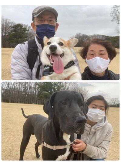 横浜市の犬のしつけ教室/今日のわん子達