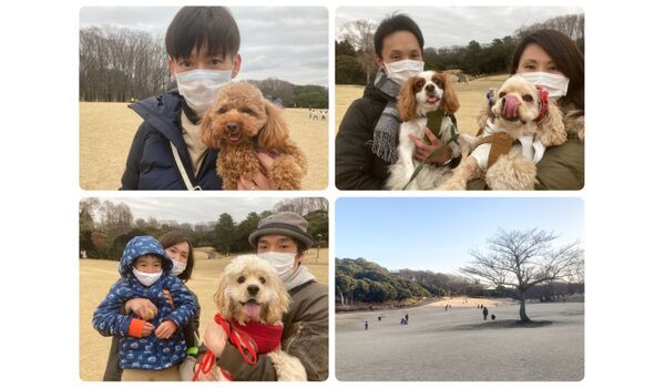 犬のしつけ教室・出張レッスン・無駄吠えの矯正レッスンを行うドッグスクール ヴィッセ今日のわん子達～3月7日 