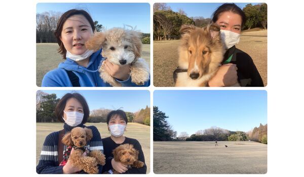 犬のしつけ教室・出張レッスン・無駄吠えの矯正レッスンを行うドッグスクール ヴィッセ今日のわん子達～3月11日 