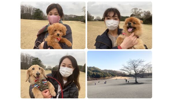犬のしつけ教室・出張レッスン・無駄吠えの矯正レッスンを行うドッグスクール ヴィッセ今日のわん子達～3月12日 