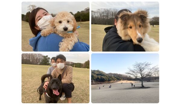 犬のしつけ教室・出張レッスン・無駄吠えの矯正レッスンを行うドッグスクール ヴィッセ今日のわん子達～3月17日 