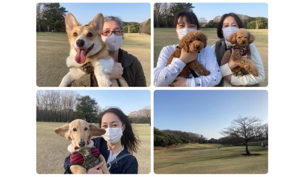 犬のしつけ教室・出張レッスン・無駄吠えの矯正レッスンを行うドッグスクール ヴィッセ今日のわん子達～3月18日 