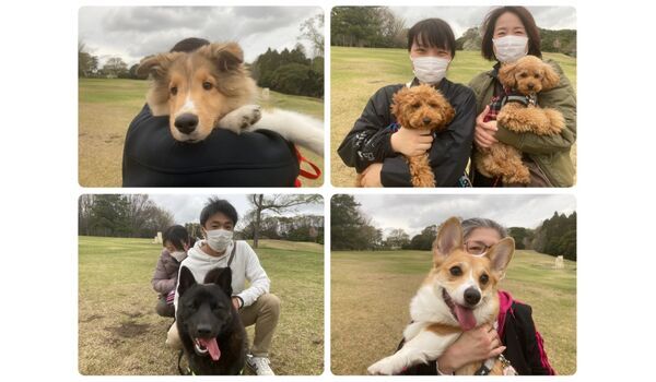 犬のしつけ教室・出張レッスン・無駄吠えの矯正レッスンを行うドッグスクール ヴィッセ今日のわん子達～3月25日 