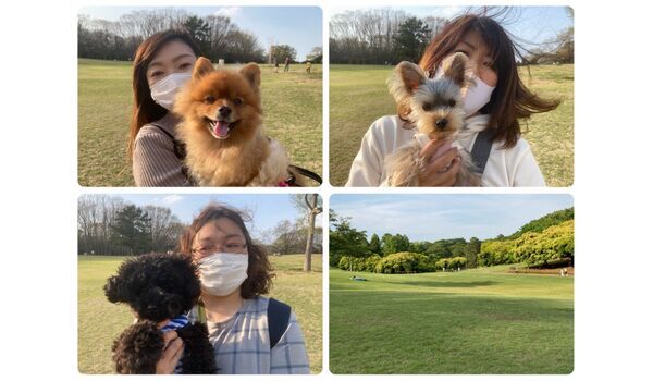 犬のしつけ教室・出張レッスン・無駄吠えの矯正レッスンを行うドッグスクール ヴィッセ今日のわん子達～3月26日 