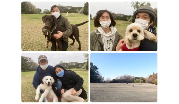犬のしつけ教室・出張レッスン・無駄吠えの矯正レッスンを行うドッグスクール ヴィッセ今日のわん子達～3月28日 