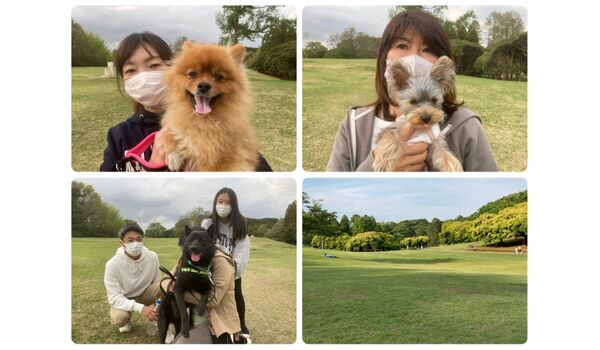 犬のしつけ教室・出張レッスン・無駄吠えの矯正レッスンを行うドッグスクール ヴィッセ今日のわん子達～4月2日 