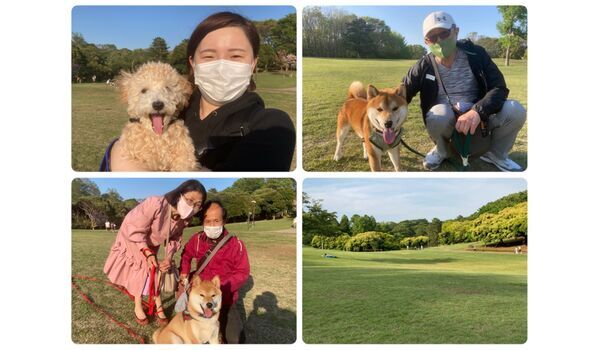 犬のしつけ教室・出張レッスン・無駄吠えの矯正レッスンを行うドッグスクール ヴィッセ今日のわん子達～4月7日 