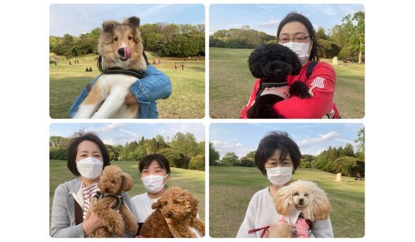犬のしつけ教室・出張レッスン・無駄吠えの矯正レッスンを行うドッグスクール ヴィッセ今日のわん子達～4月8日 