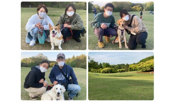 犬のしつけ教室・出張レッスン・無駄吠えの矯正レッスンを行うドッグスクール ヴィッセ今日のわん子達～4月11日 