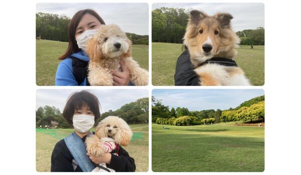 犬のしつけ教室・出張レッスン・無駄吠えの矯正レッスンを行うドッグスクール ヴィッセ今日のわん子達～4月15日 