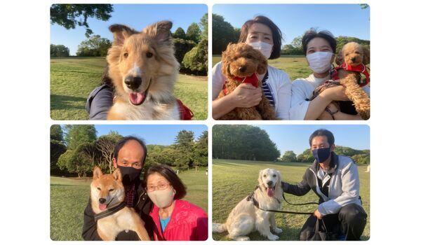 犬のしつけ教室・出張レッスン・無駄吠えの矯正レッスンを行うドッグスクール ヴィッセ今日のわん子達～4月21日 