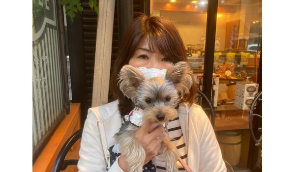 犬のしつけ教室・出張レッスン・無駄吠えの矯正レッスンを行うドッグスクール ヴィッセ/暴露療法 