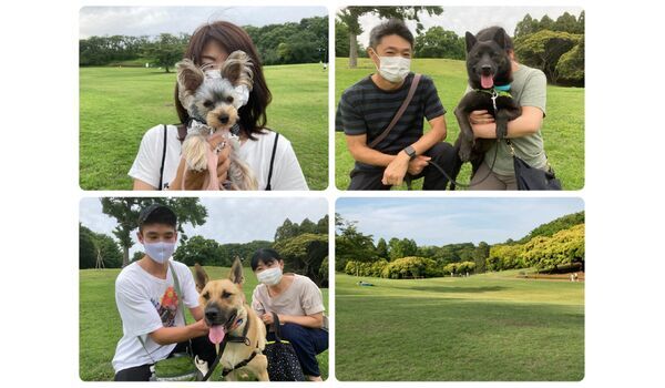 犬のしつけ教室・出張レッスン・無駄吠えの矯正レッスンを行うドッグスクール ヴィッセ今日のわん子達～5月28日 