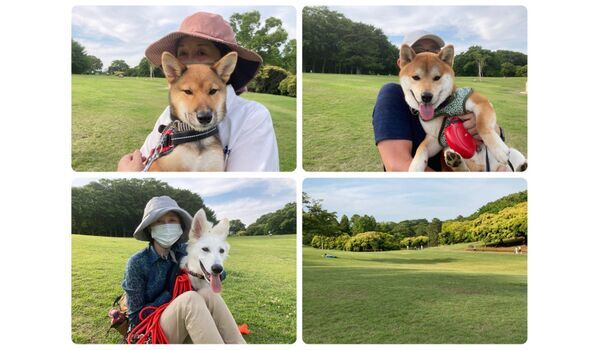 犬のしつけ教室・出張レッスン・無駄吠えの矯正レッスンを行うドッグスクール ヴィッセ今日のわん子達～6月2日 