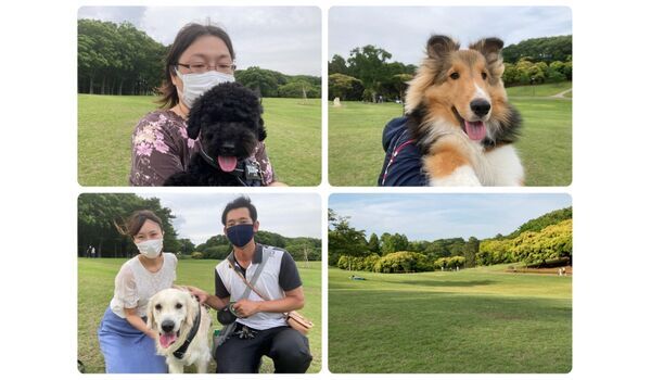 犬のしつけ教室・出張レッスン・無駄吠えの矯正レッスンを行うドッグスクール ヴィッセ今日のわん子達～6月3日 