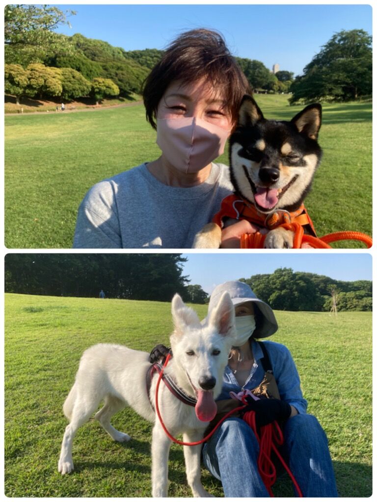 横浜市の犬のしつけ教室/今日のわん子達