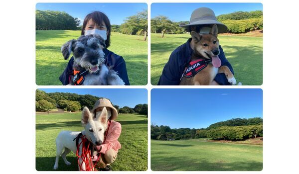 犬のしつけ教室・出張レッスン・無駄吠えの矯正レッスンを行うドッグスクール ヴィッセ今日のわん子達～6月17日 
