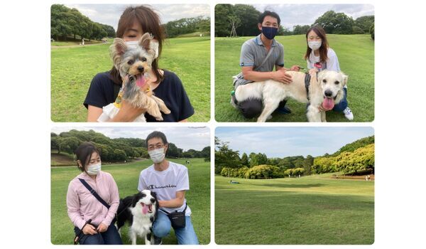犬のしつけ教室・出張レッスン・無駄吠えの矯正レッスンを行うドッグスクール ヴィッセ今日のわん子達～6月18日 