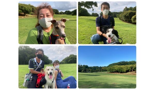 犬のしつけ教室・出張レッスン・無駄吠えの矯正レッスンを行うドッグスクール ヴィッセ今日のわん子達～6月25日 