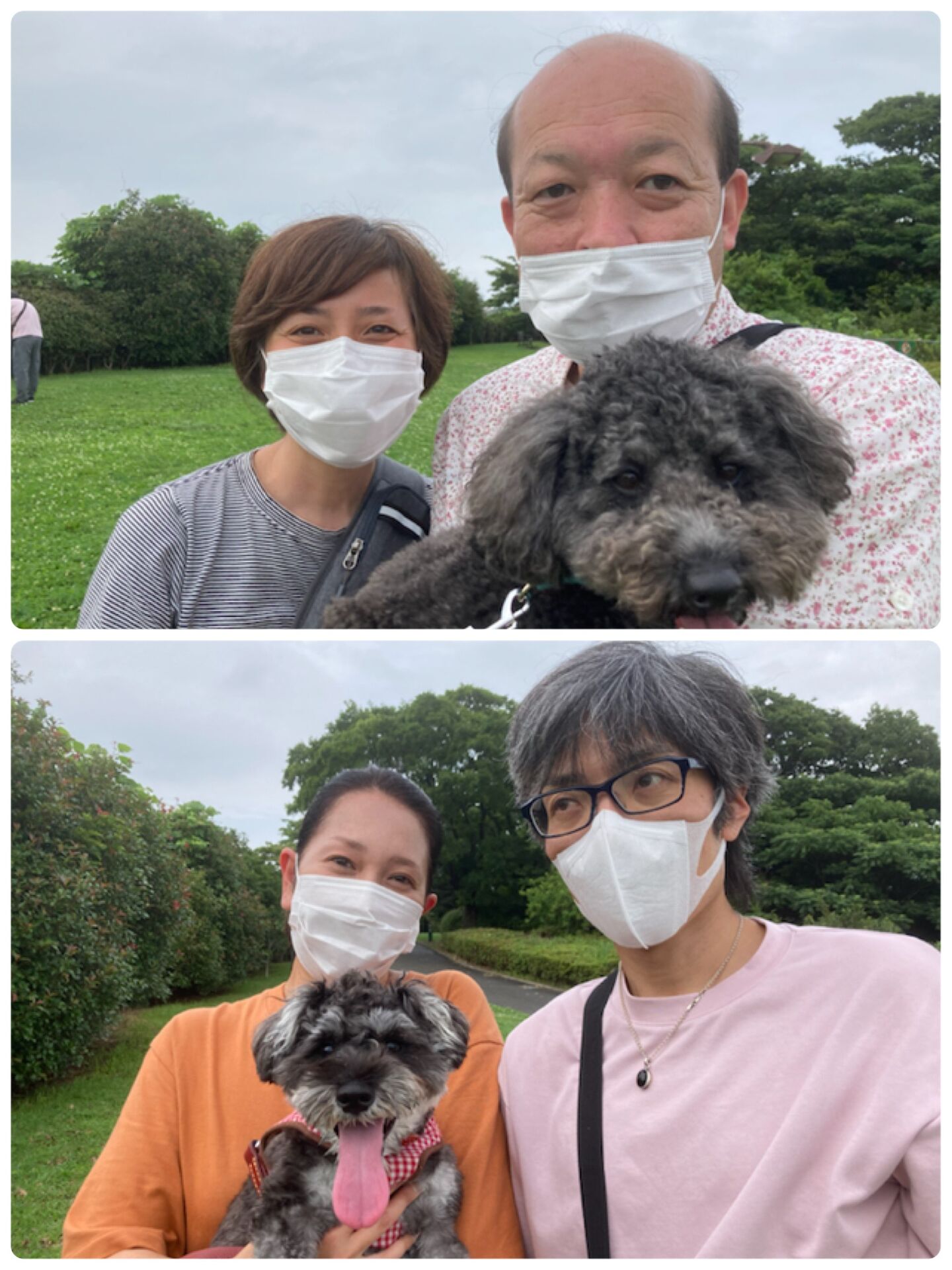 横浜市の犬のしつけ教室/今日のわん子達