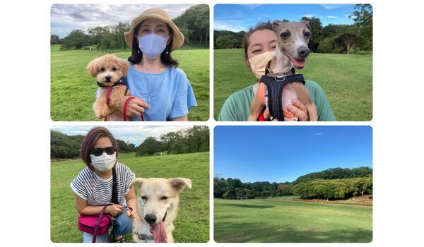 犬のしつけ教室・出張レッスン・無駄吠えの矯正レッスンを行うドッグスクール ヴィッセ、今日のわん子達～8月20日 