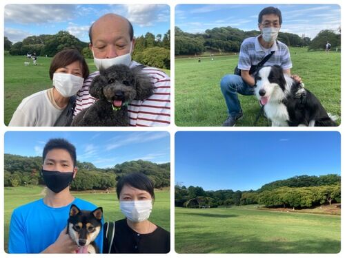 横浜市の犬のしつけ教室/今日のわん子達
