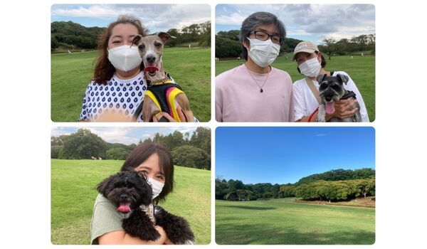 犬のしつけ教室・出張レッスン・無駄吠えの矯正レッスンを行うドッグスクール ヴィッセ今日のわん子達～9月11日 
