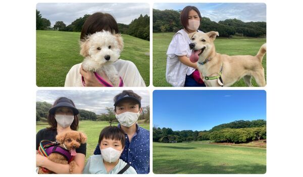 犬のしつけ教室・出張レッスン・無駄吠えの矯正レッスンを行うドッグスクール ヴィッセ今日のわん子達～9月17日 
