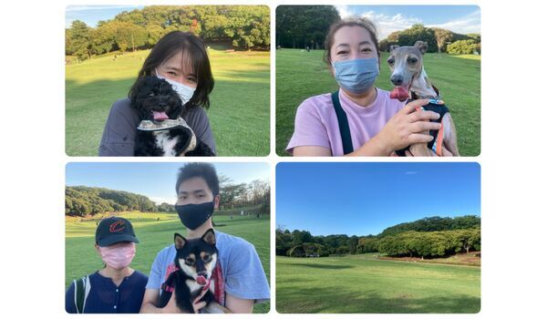 犬のしつけ教室・出張レッスン・無駄吠えの矯正レッスンを行うドッグスクール ヴィッセ、今日のわん子達～9月23日 