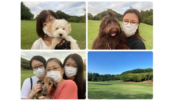 犬のしつけ教室・出張レッスン・無駄吠えの矯正レッスンを行うドッグスクール ヴィッセ今日のわん子達～9月29日 
