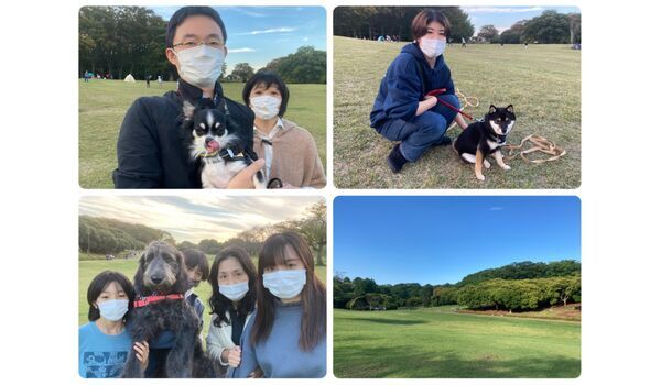 犬のしつけ教室・出張レッスン・無駄吠えの矯正レッスンを行うドッグスクール ヴィッセの今日のわん子達～10月24日 