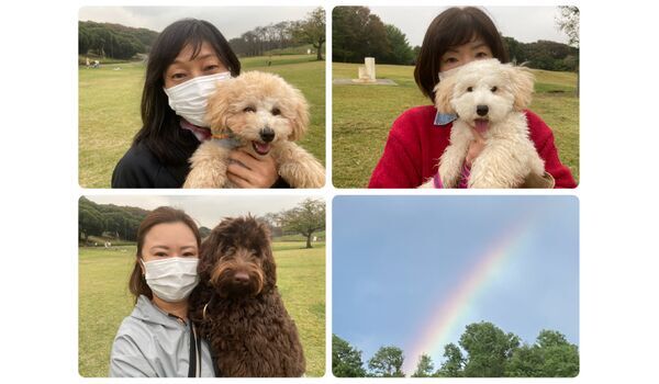 犬のしつけ教室・出張レッスン・無駄吠えの矯正レッスンを行うドッグスクール ヴィッセの今日のわん子達～10月27 日 