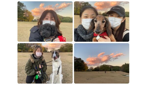 犬のしつけ教室・出張レッスン・無駄吠えの矯正レッスンを行うドッグスクール ヴィッセの今日のわん子達～12月1日 