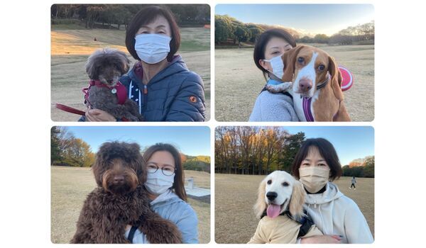 犬のしつけ教室・出張レッスン・無駄吠えの矯正レッスンを行うドッグスクール ヴィッセの今日のわん子達～12月2日 