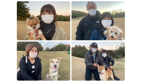犬のしつけ教室・出張レッスン・無駄吠えの矯正レッスンを行うドッグスクール ヴィッセの今日のわん子達～12月3日 